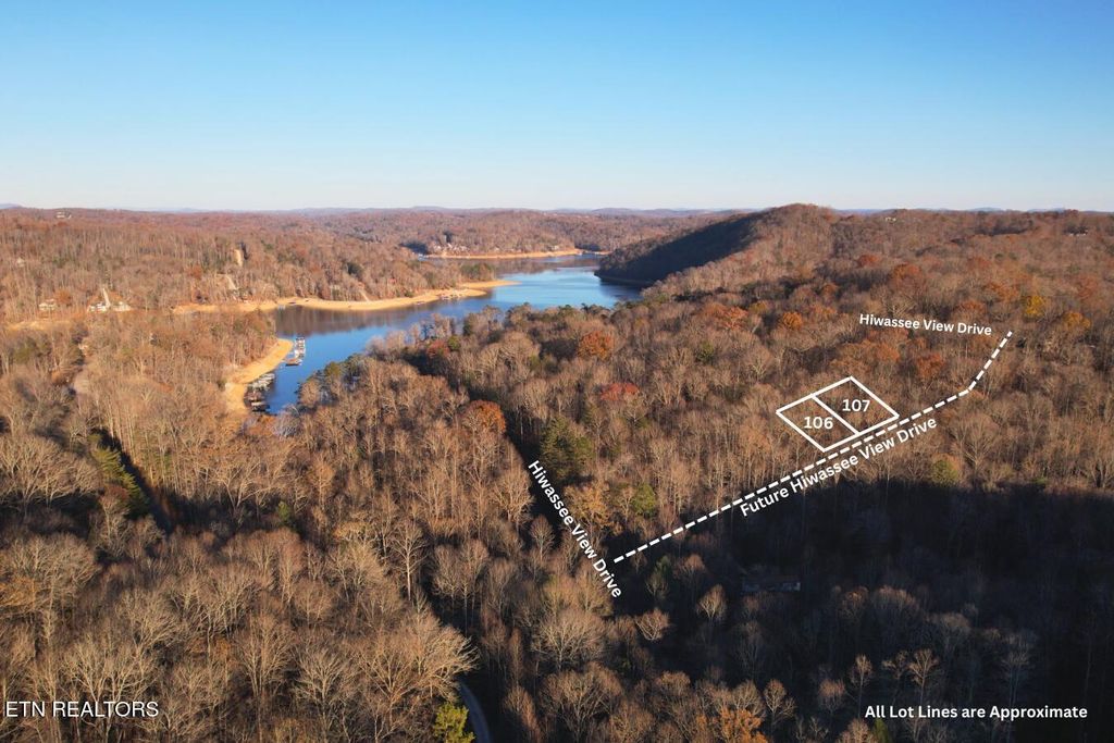 Photo of Lot 106 Hiwassee View Drive, Jacksboro, TN 37757 (MLS # 1290900)