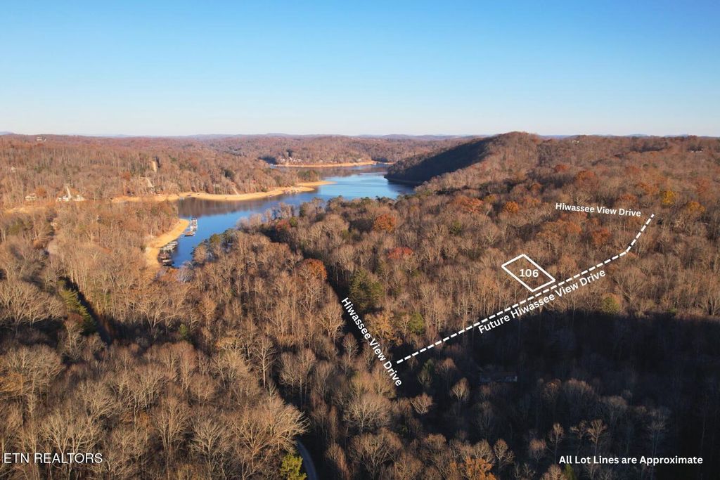 Photo of Lot 106 Hiwassee View Drive, Jacksboro, TN 37757 (MLS # 1290900)