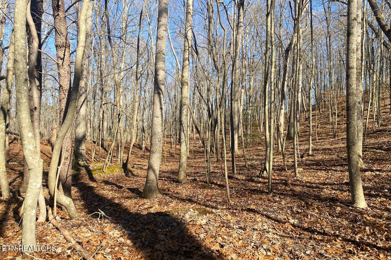 Lot 106 Hiwassee View Drive