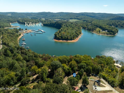 Tiny photo for 855 Straight Branch Rd, Speedwell, TN 37870 (MLS # 1357475)