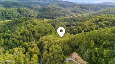 Tiny photo for 10 Dunn Creek Way, Sevierville, TN 37876 (MLS # 1322897)