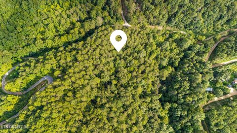 Tiny photo for 10 Dunn Creek Way, Sevierville, TN 37876 (MLS # 1322897)