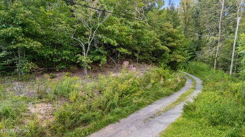 Photo of 10 Dunn Creek Way, Sevierville, TN 37876 (MLS # 1322897)