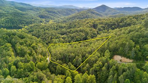 Tiny photo for 10 Dunn Creek Way, Sevierville, TN 37876 (MLS # 1322897)