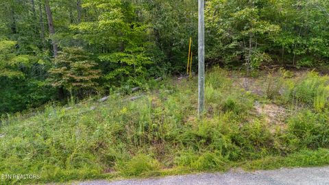 Tiny photo for 10 Dunn Creek Way, Sevierville, TN 37876 (MLS # 1322897)