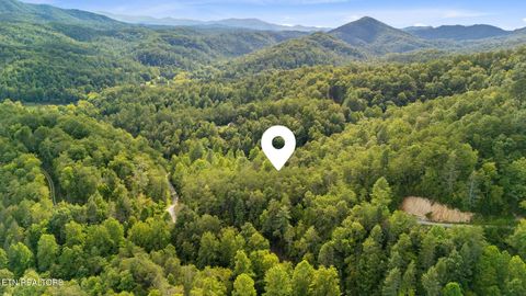 Tiny photo for 10 Dunn Creek Way, Sevierville, TN 37876 (MLS # 1322897)