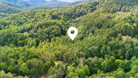 Tiny photo for 10 Dunn Creek Way, Sevierville, TN 37876 (MLS # 1322897)