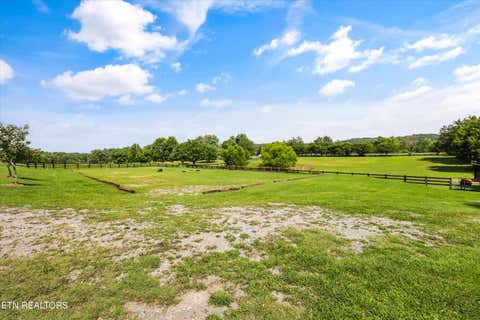 Tiny photo for 7876 Hines Valley Rd Rd, Lenoir City, TN 37771 (MLS # 1350009)