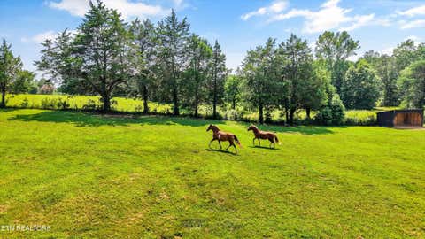 Tiny photo for 7876 Hines Valley Rd Rd, Lenoir City, TN 37771 (MLS # 1350009)