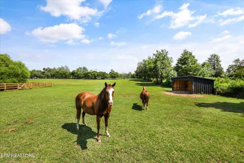 Tiny photo for 7876 Hines Valley Rd Rd, Lenoir City, TN 37771 (MLS # 1350009)