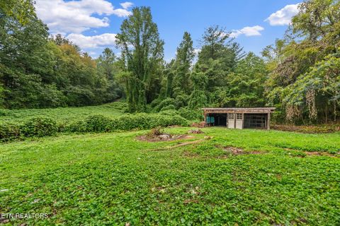 Tiny photo for 1384 Coal Hill Rd, Harriman, TN 37748 (MLS # 1326449)