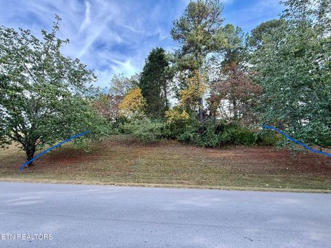 Photo of 109 Timberlake Drive, Greenback, TN 37742 (MLS # 1319083)