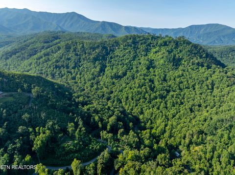 Tiny photo for Loop Rd, Gatlinburg, TN 37738 (MLS # 1321692)