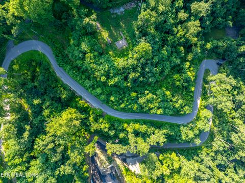 Tiny photo for Loop Rd, Gatlinburg, TN 37738 (MLS # 1321692)