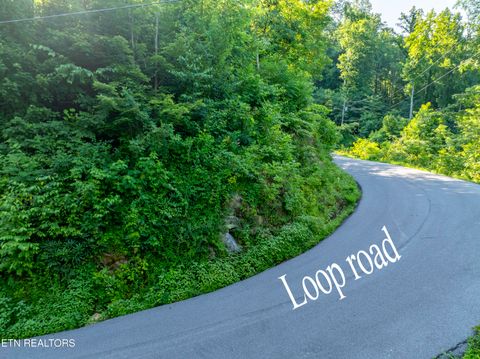 Tiny photo for Loop Rd, Gatlinburg, TN 37738 (MLS # 1321692)