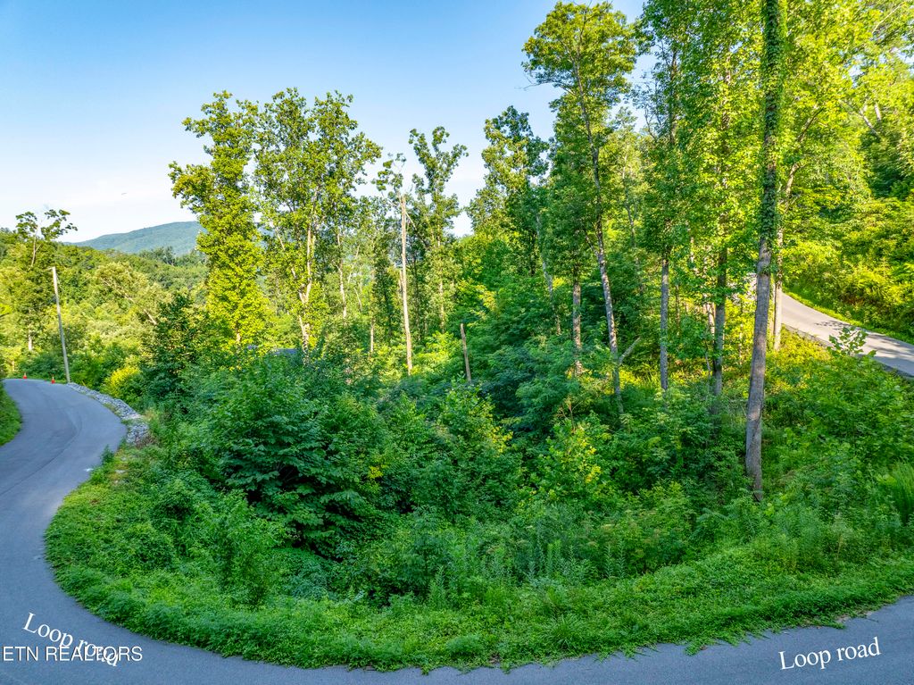 Photo of Loop Rd, Gatlinburg, TN 37738 (MLS # 1321692)