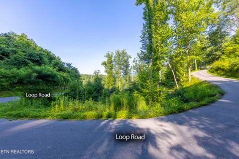 Tiny photo for Loop Rd, Gatlinburg, TN 37738 (MLS # 1321692)
