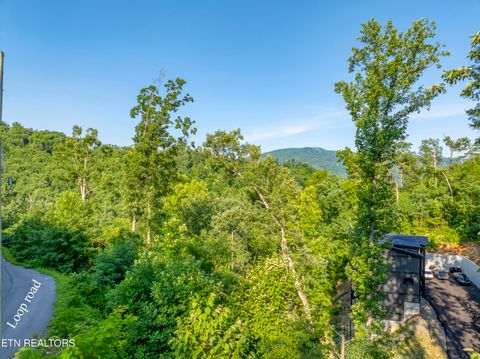 Tiny photo for Loop Rd, Gatlinburg, TN 37738 (MLS # 1321692)
