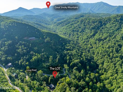 Tiny photo for Loop Rd, Gatlinburg, TN 37738 (MLS # 1321692)