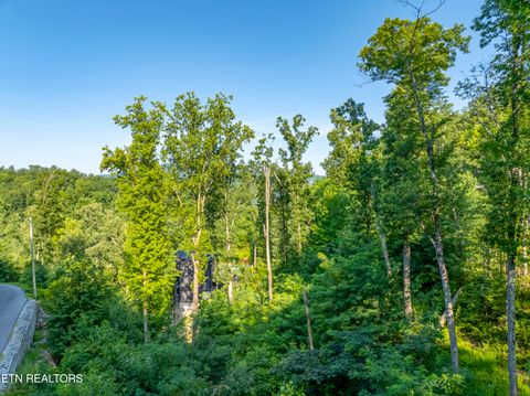 Tiny photo for Loop Rd, Gatlinburg, TN 37738 (MLS # 1321692)