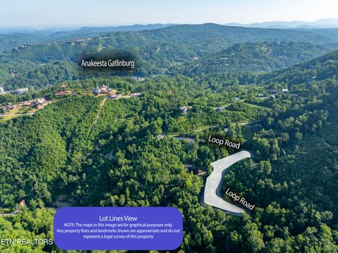 Tiny photo for Loop Rd, Gatlinburg, TN 37738 (MLS # 1321692)