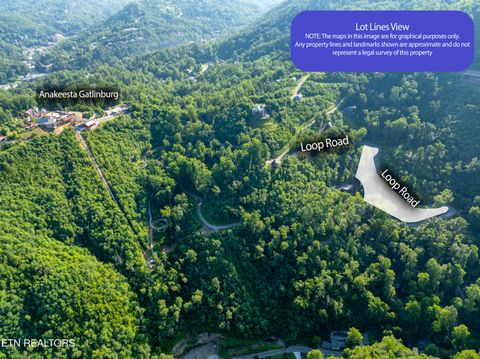 Tiny photo for Loop Rd, Gatlinburg, TN 37738 (MLS # 1321692)