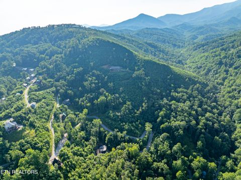 Tiny photo for Loop Rd, Gatlinburg, TN 37738 (MLS # 1321692)