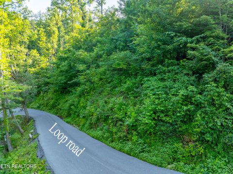 Tiny photo for Loop Rd, Gatlinburg, TN 37738 (MLS # 1321692)