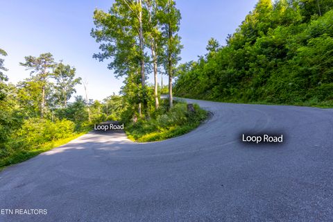 Tiny photo for Loop Rd, Gatlinburg, TN 37738 (MLS # 1321692)