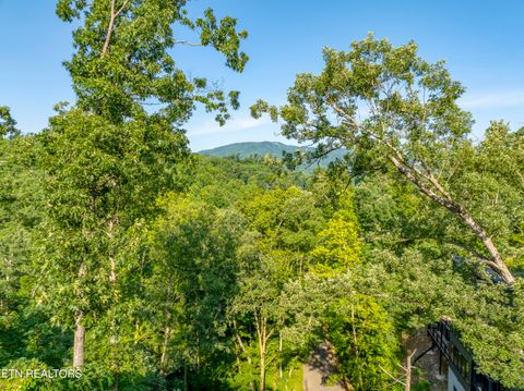 Tiny photo for Loop Rd, Gatlinburg, TN 37738 (MLS # 1321692)