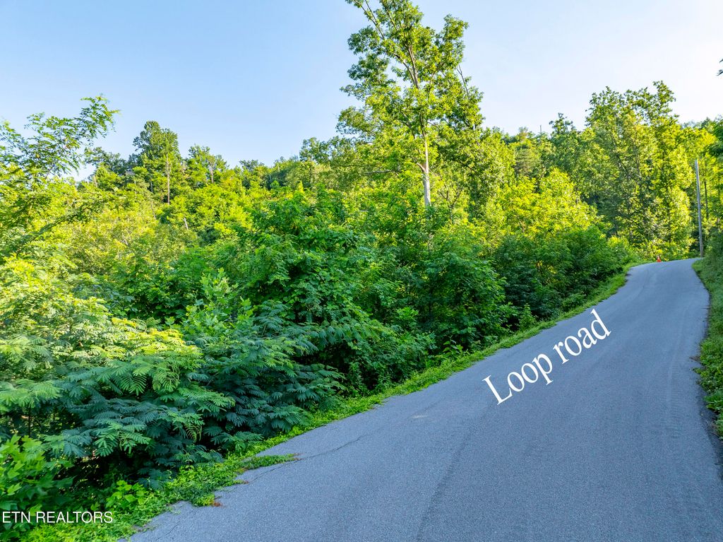 Photo of Loop Rd, Gatlinburg, TN 37738 (MLS # 1321692)