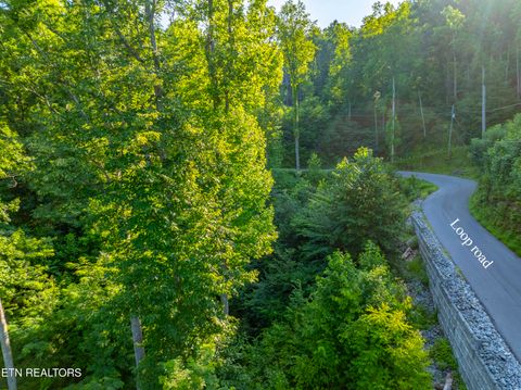 Tiny photo for Loop Rd, Gatlinburg, TN 37738 (MLS # 1321692)