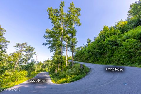 Tiny photo for Loop Rd, Gatlinburg, TN 37738 (MLS # 1321692)