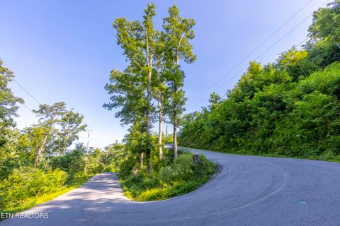 Tiny photo for Loop Rd, Gatlinburg, TN 37738 (MLS # 1321692)