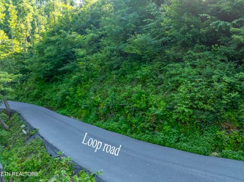Tiny photo for Loop Rd, Gatlinburg, TN 37738 (MLS # 1321692)