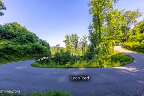 Tiny photo for Loop Rd, Gatlinburg, TN 37738 (MLS # 1321692)