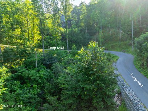 Tiny photo for Loop Rd, Gatlinburg, TN 37738 (MLS # 1321692)