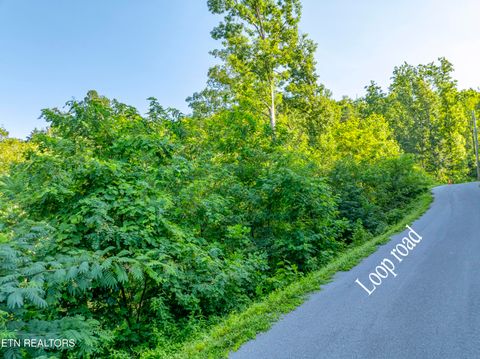 Tiny photo for Loop Rd, Gatlinburg, TN 37738 (MLS # 1321692)