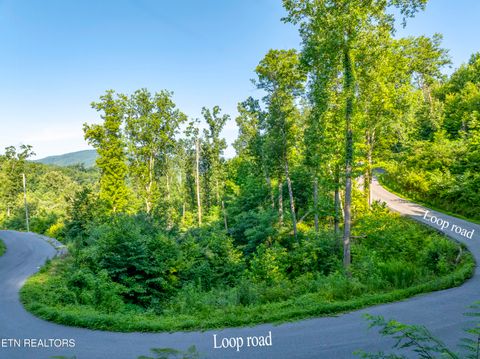 Photo of Loop Rd, Gatlinburg, TN 37738 (MLS # 1321692)