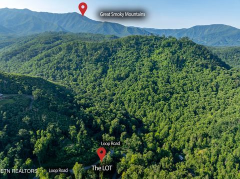 Tiny photo for Loop Rd, Gatlinburg, TN 37738 (MLS # 1321692)