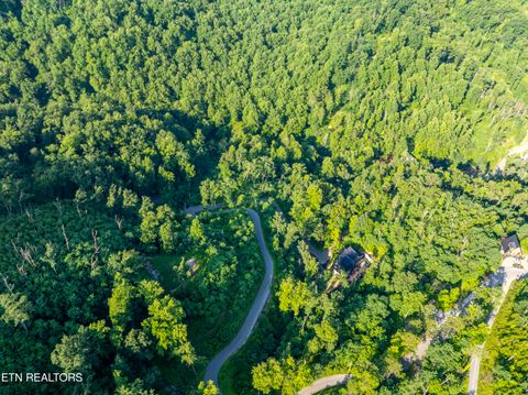 Tiny photo for Loop Rd, Gatlinburg, TN 37738 (MLS # 1321692)