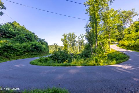 Tiny photo for Loop Rd, Gatlinburg, TN 37738 (MLS # 1321692)