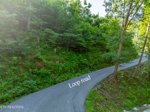 Tiny photo for Loop Rd, Gatlinburg, TN 37738 (MLS # 1321692)