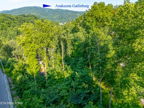 Tiny photo for Loop Rd, Gatlinburg, TN 37738 (MLS # 1321692)