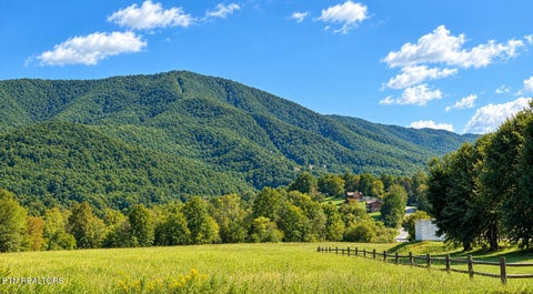 Tiny photo for 3120 Lexy Lane, Sevierville, TN 37862 (MLS # 1355573)