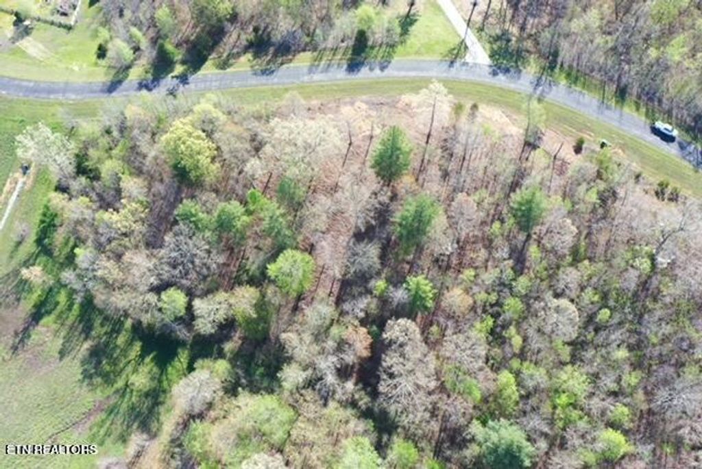Photo of Water View Drive, Rockwood, TN 37854 (MLS # 1285619)