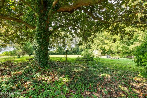 Tiny photo for 3841 Jolly Lane, Knoxville, TN 37931 (MLS # 1316994)