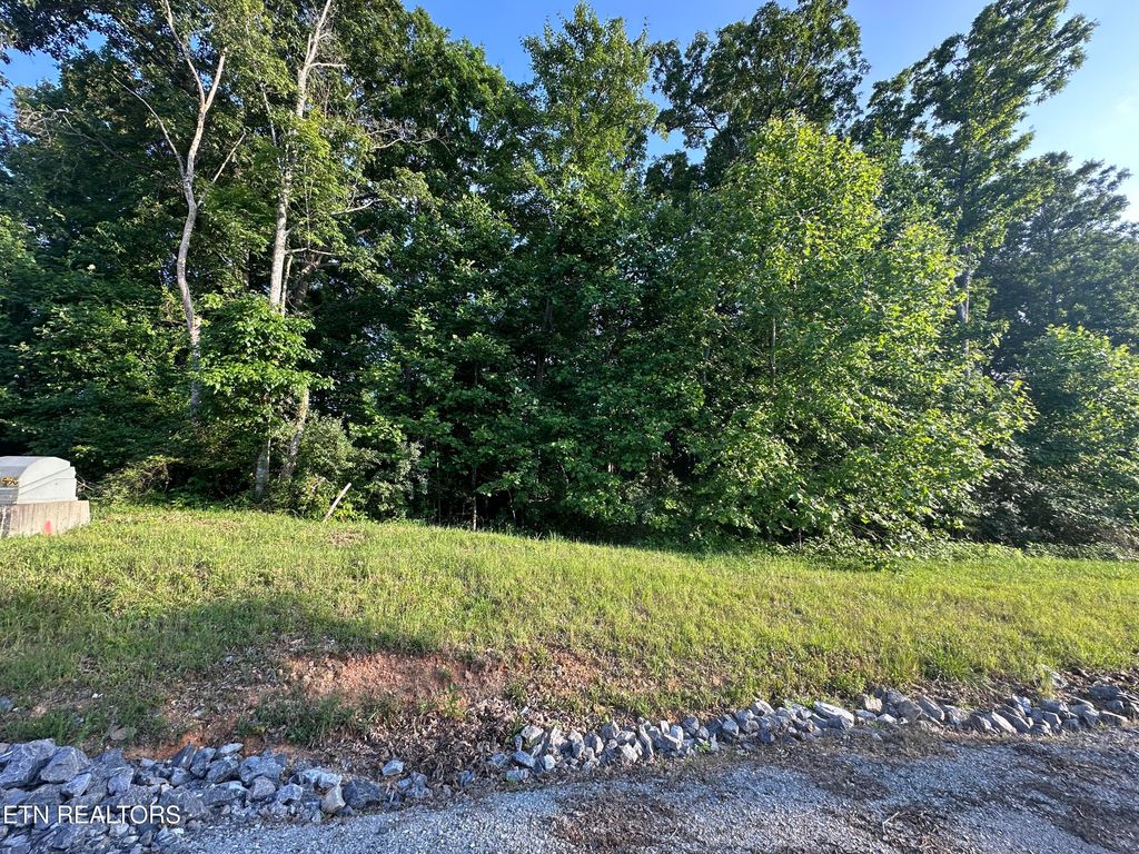 Photo of 560 Summer Circle, LaFollette, TN 37766 (MLS # 1303765)