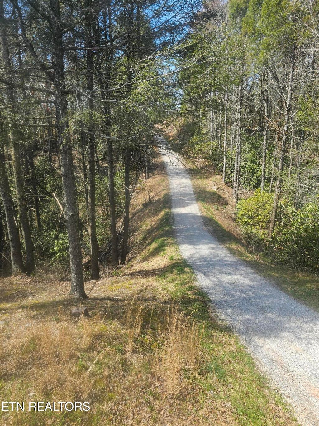 Photo of 367 McJunkin Rd, Tellico Plains, TN 37385 (MLS # 1295502)