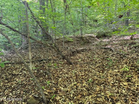 Tiny photo for 74 Norris Shores Drive, Sharps Chapel, TN 37866 (MLS # 1339357)